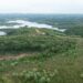 Após queda histórica em 2024, Paraná volta a ter aumento de área desmatada; veja cidades que mais derrubaram floresta no estado