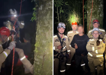 Jovem sobe em araucária no Paraná para colher pinhão, fica preso no topo por mais de duas horas e meia e é resgatado por bombeiros