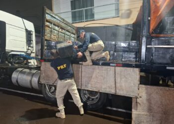 Carreta estraga, polícia vai ajudar e acaba encontrando mais de 2 toneladas de maconha no veículo na BR-277, no Paraná