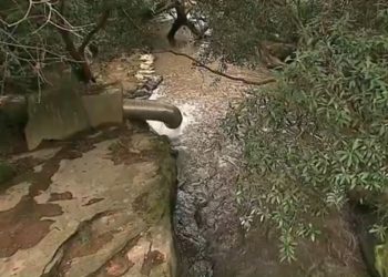 Despejo de esterco em rio afeta captação e deixa cidade sem água, no Paraná