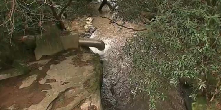 Despejo de esterco em rio afeta captação e deixa cidade sem água, no Paraná