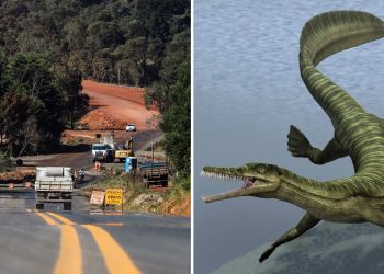 Obra de asfalto será retomada no Paraná após 9 meses de paralisação devido a fósseis de animais mais antigos que dinossauros; entenda