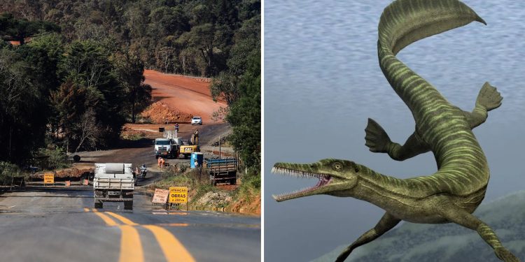 Obra de asfalto será retomada no Paraná após 9 meses de paralisação devido a fósseis de animais mais antigos que dinossauros; entenda