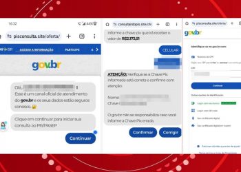 Site falso que imitava página oficial do Gov.br anunciando consulta e saque do PIS vira alvo de investigação da PF no Paraná